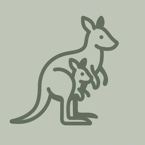 StudioVIX Wallaby-whiteboard-programma